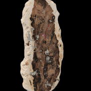 Petrified Wood slice from Madagascar 60g - Rocks and Things Store