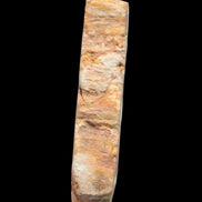 Petrified Wood Agate slice from Madagascar 30g in sunlight - Rocks and Things Store