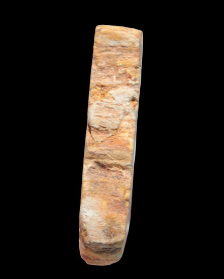 Petrified Wood Agate slice from Madagascar 30g in sunlight - Rocks and Things Store