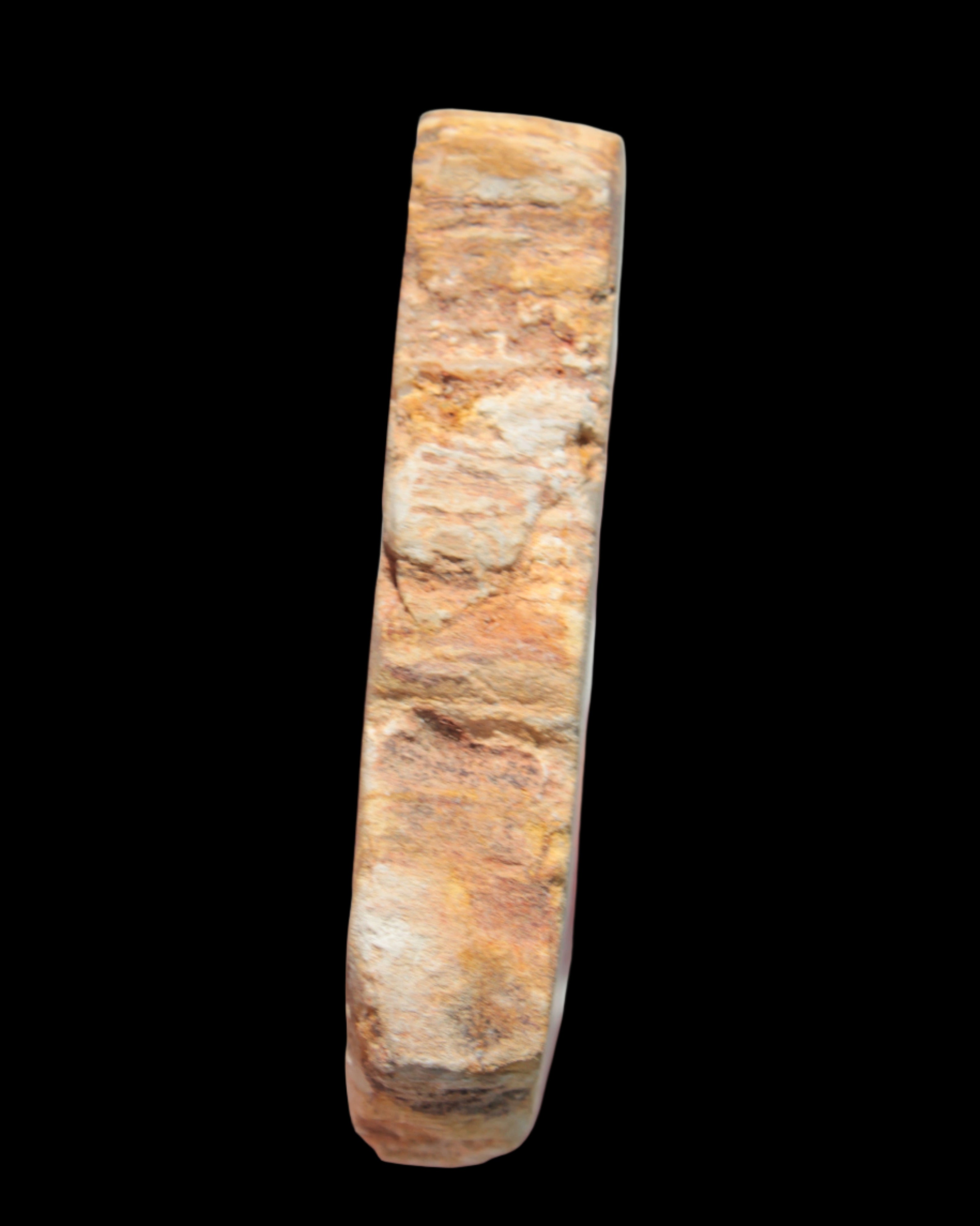 Petrified Wood Agate slice from Madagascar 30g in sunlight - Rocks and Things Store