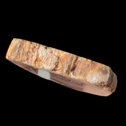 Petrified Wood Agate slice from Madagascar 30g in sunlight - Rocks and Things Store