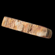 Petrified Wood Agate slice from Madagascar 30g in sunlight - Rocks and Things Store