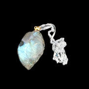Labradorite leaf pendant and necklace 16g in sunlight - Rocks and Things Store
