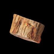 Petrified Wood Fossil slice from Madagascar 58g in sunlight - Rocks and Things Store