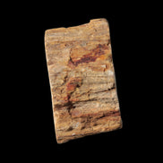 Petrified Wood Fossil slice from Madagascar 58g in sunlight - Rocks and Things Store