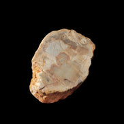 Petrified Wood Fossil slice from Madagascar 58g in sunlight - Rocks and Things Store