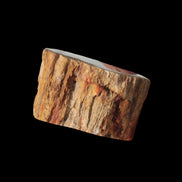 Petrified Wood Fossil slice from Madagascar 58g in sunlight - Rocks and Things Store