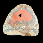 Warring States Red Agate geode 97g in sunlight - Rocks and Things Store