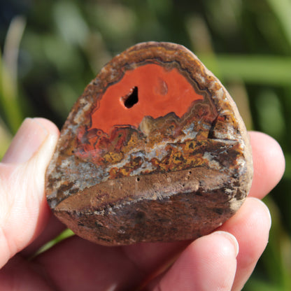 Warring States Red Agate geode 97g