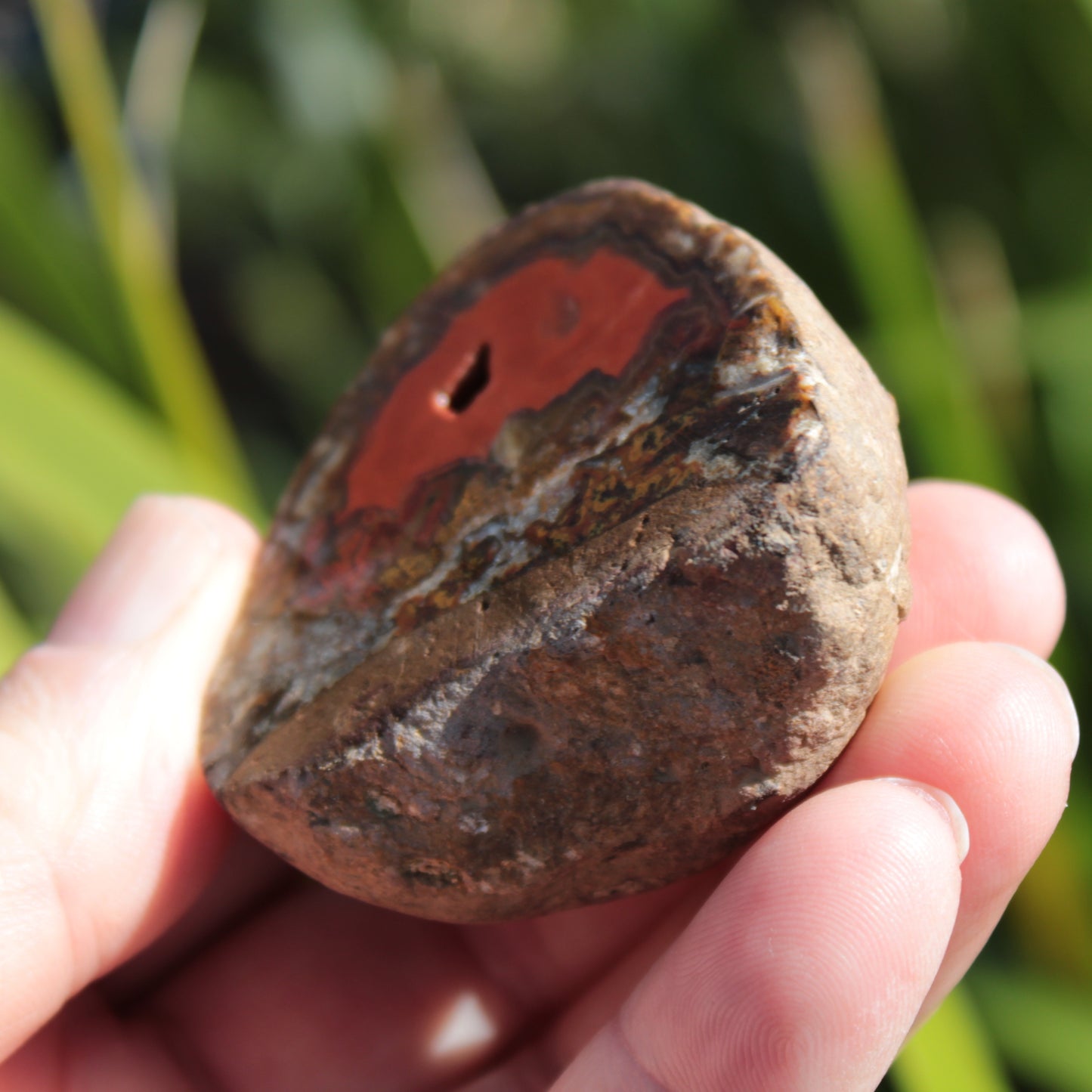 Warring States Red Agate geode 97g