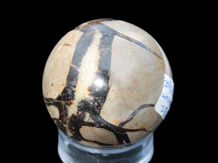 Septarian Dragon stone sphere 59mm 274g Rocks and Things