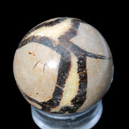 Septarian Dragon stone sphere 59mm 274g Rocks and Things