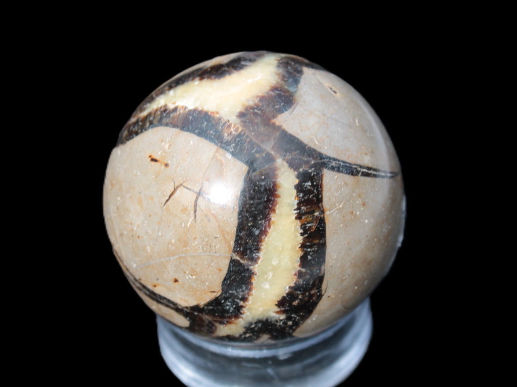 Septarian Dragon stone sphere 59mm 274g Rocks and Things