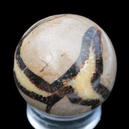 Septarian Dragon stone sphere 59mm 274g Rocks and Things