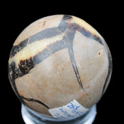 Septarian Dragon stone sphere 59mm 274g Rocks and Things