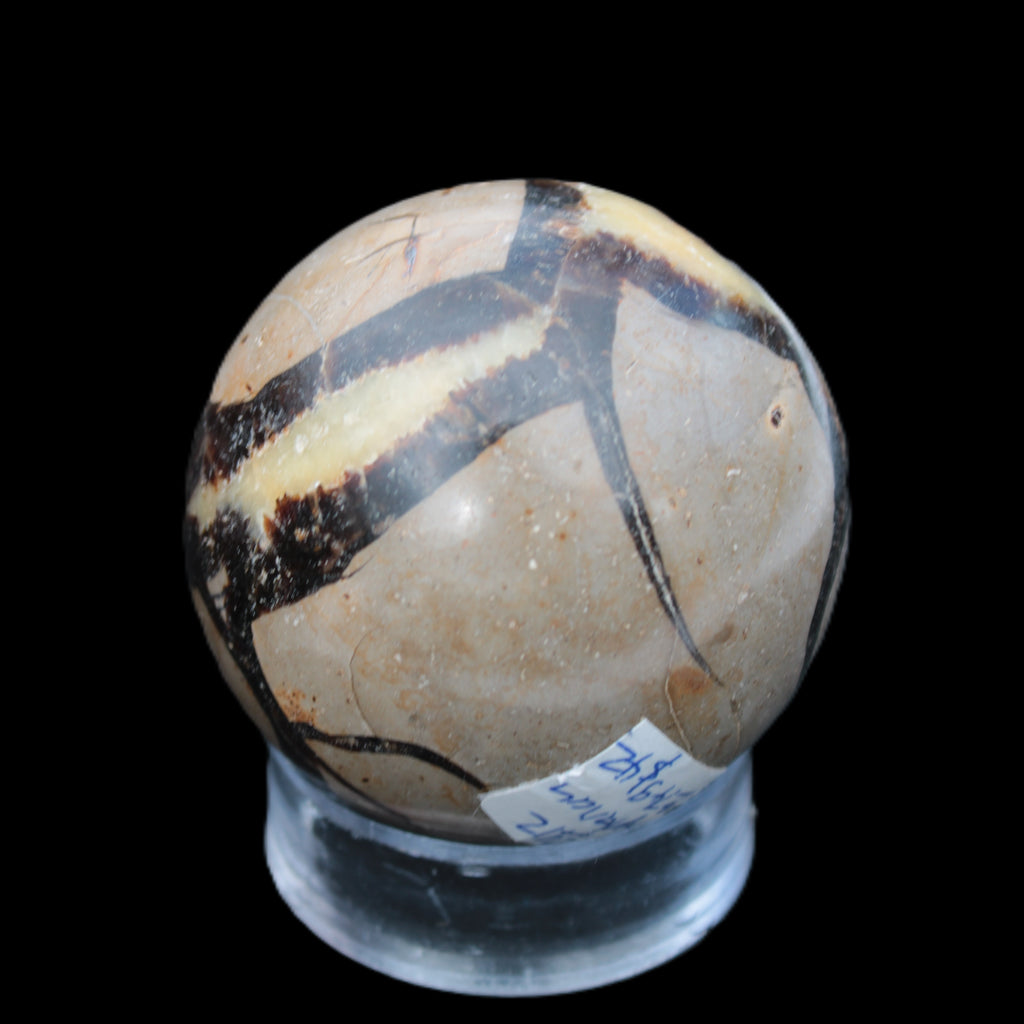 Septarian Dragon stone sphere 59mm 274g Rocks and Things