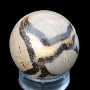 Septarian Dragon stone sphere 59mm 274g Rocks and Things