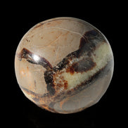 Septarian Dragon Stone sphere 47mm 144g in sunlight - Rocks and Things Store