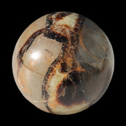 Septarian Dragon Stone sphere 47mm 144g in sunlight - Rocks and Things Store