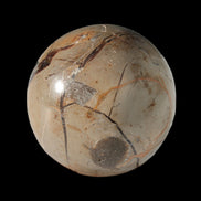 Septarian Dragon Stone sphere 47mm 144g in sunlight - Rocks and Things Store