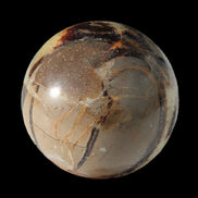 Septarian Dragon Stone sphere 47mm 144g in sunlight - Rocks and Things Store