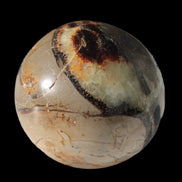 Septarian Dragon Stone sphere 47mm 144g in sunlight - Rocks and Things Store