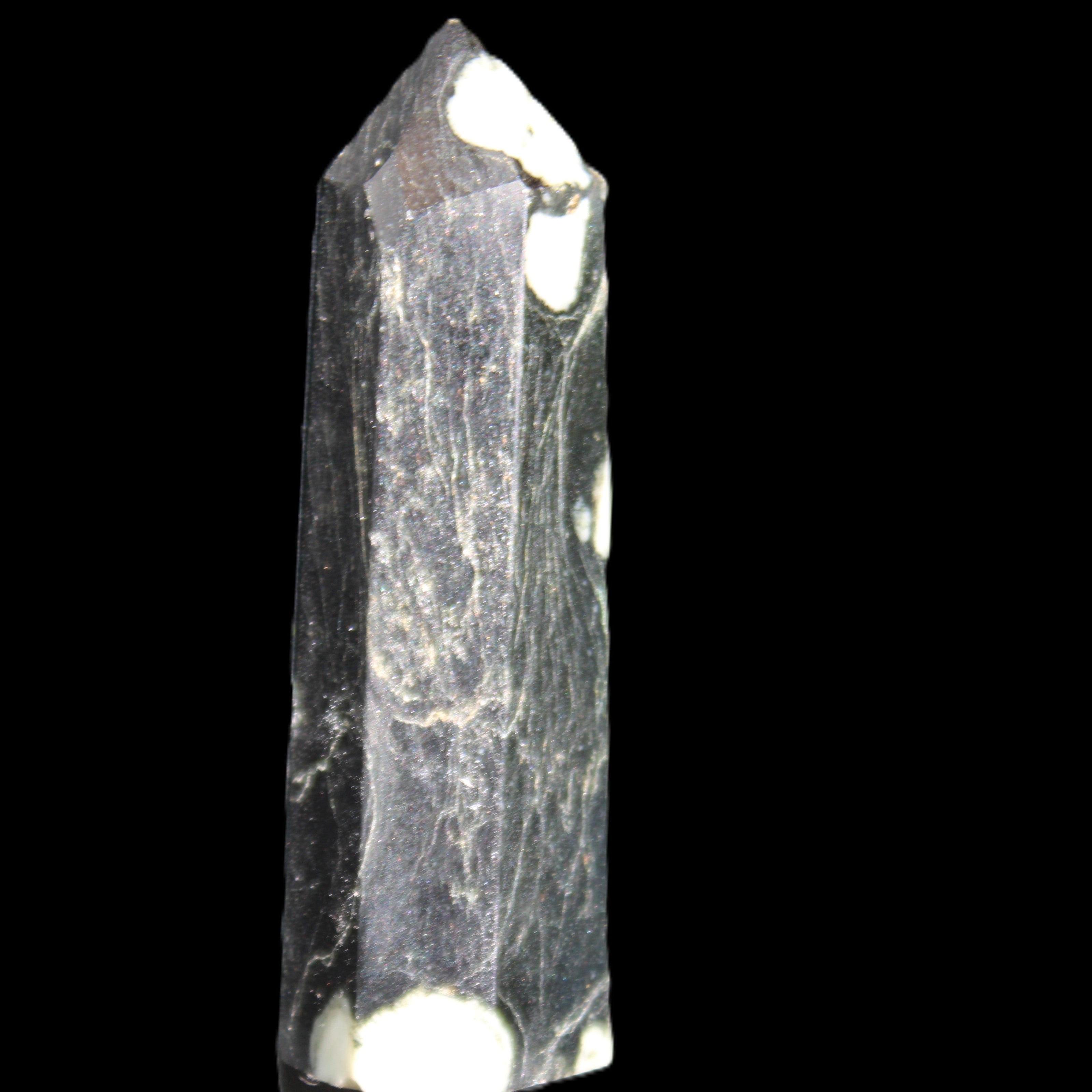 Chrysanthemum Stone wand 71mm 51g in sunlight - Rocks and Things Store