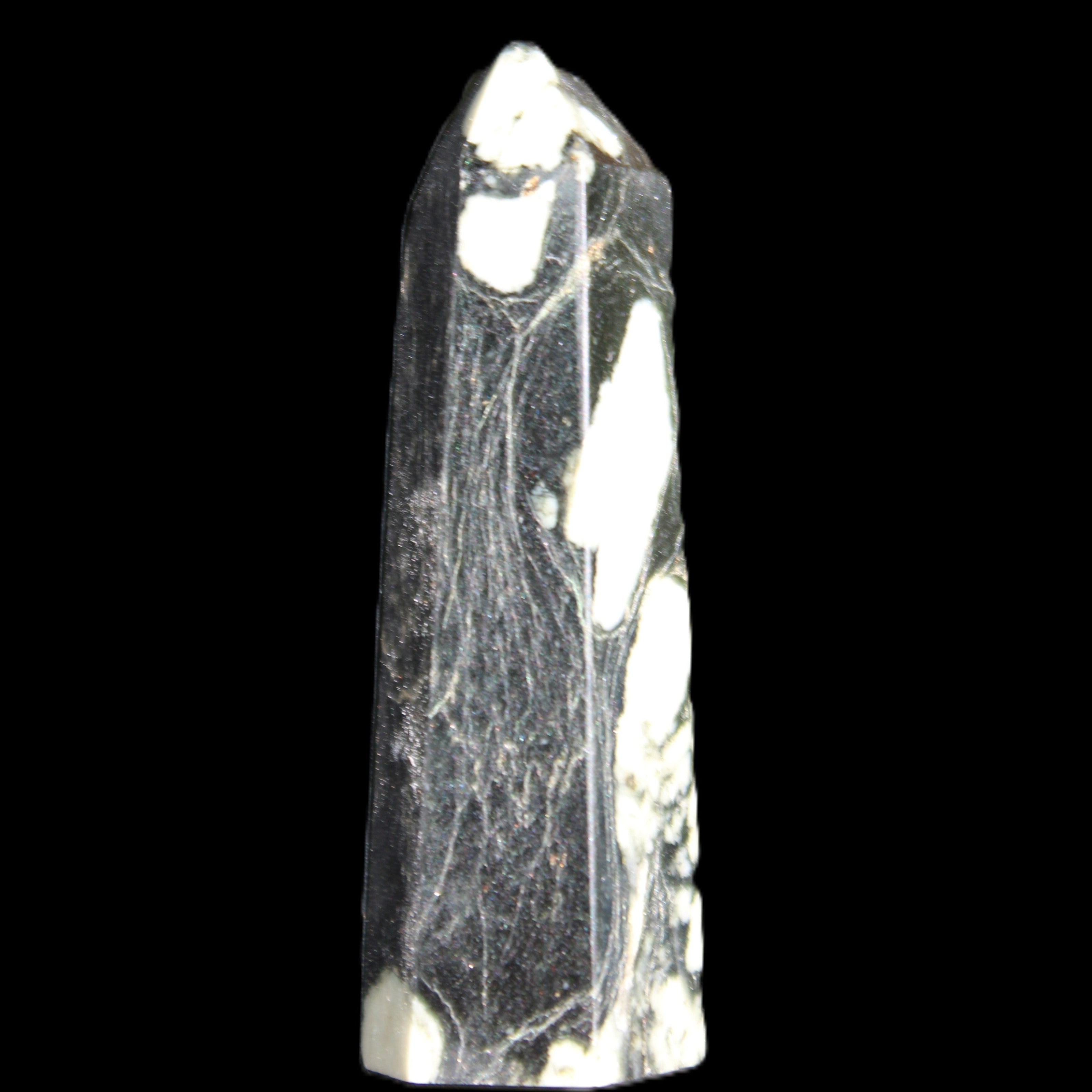Chrysanthemum Stone wand 71mm 51g in sunlight - Rocks and Things Store