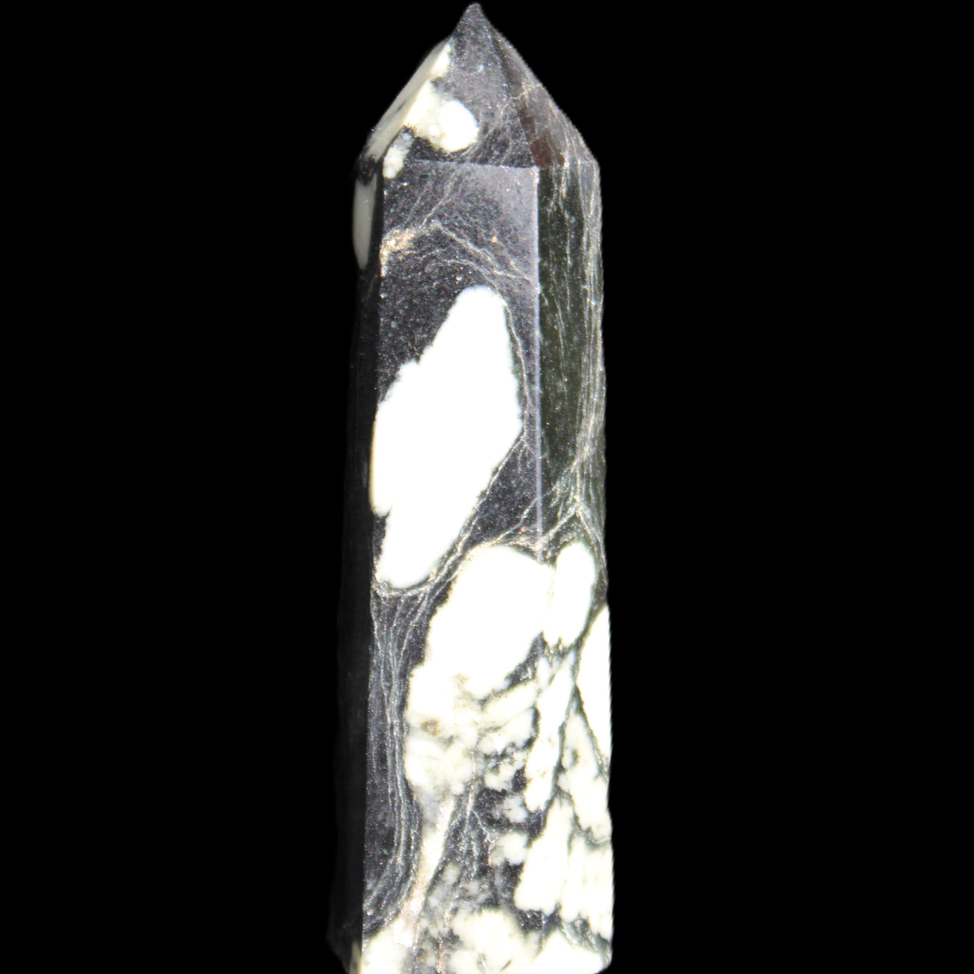 Chrysanthemum Stone wand 71mm 51g in sunlight - Rocks and Things Store