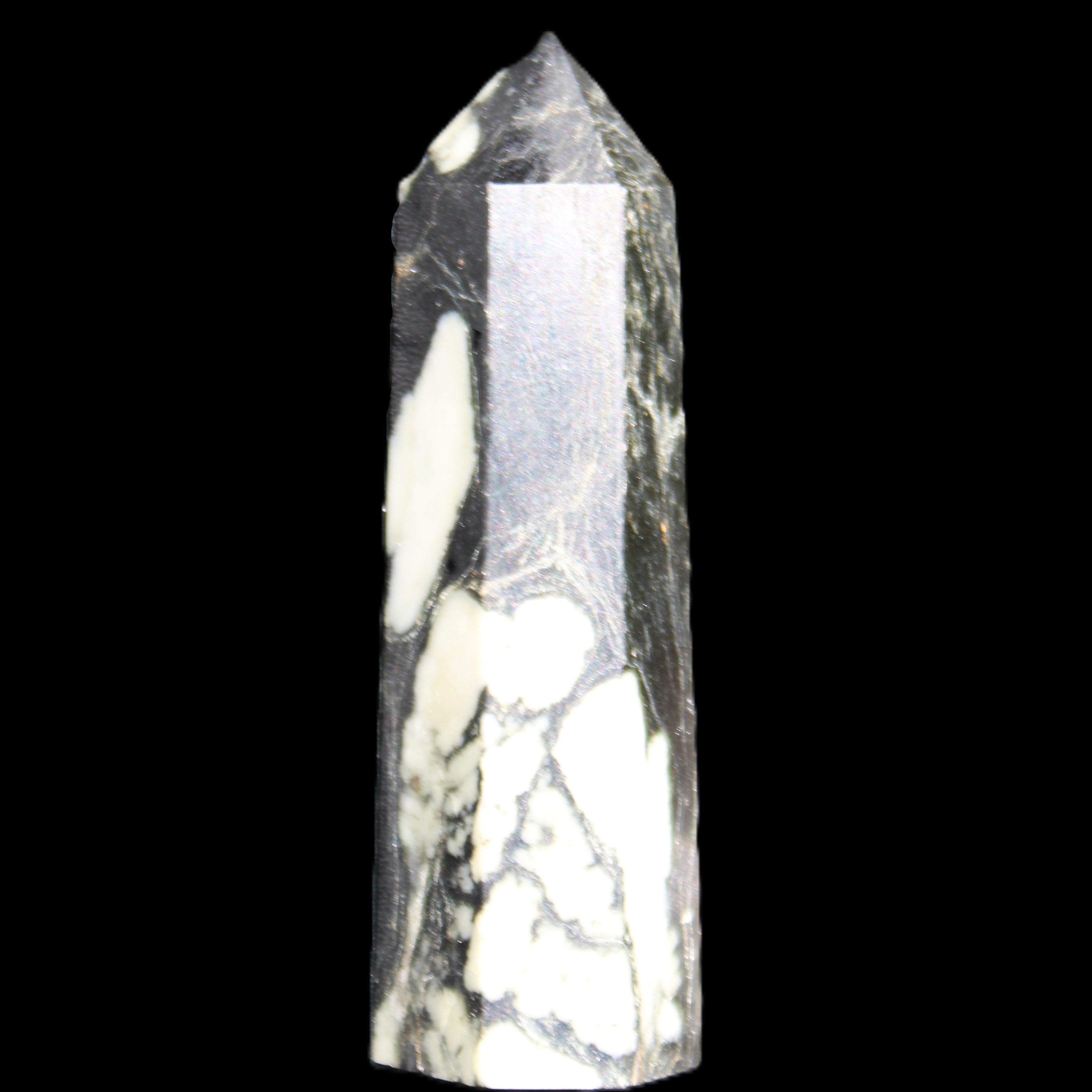 Chrysanthemum Stone wand 71mm 51g in sunlight - Rocks and Things Store