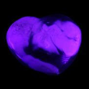 Whale Agate heart 257g in UV light - Rocks and Things Store