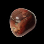 Jasper palmstone 165g in sunlight - Rocks and Things Store