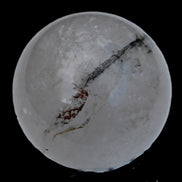 Green Ghost garden Quartz sphere 55mm 230g Rocks and Things