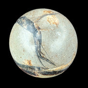 Septarian Dragon Stone sphere 55mm 244g in sunlight - Rocks and Things Store