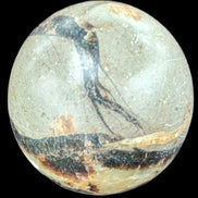 Septarian Dragon Stone sphere 55mm 244g in sunlight - Rocks and Things Store