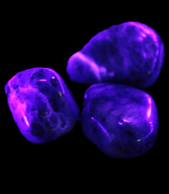 Sodalite 2/3 small polished stones 11-12g Rocks and Things