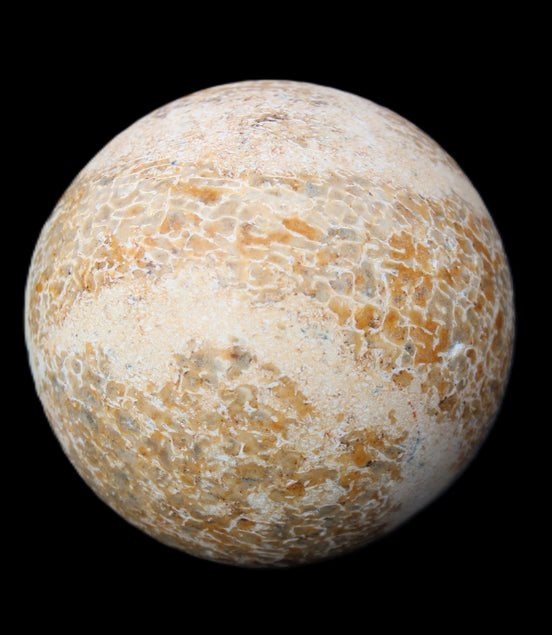 Dinosaur Bone fossil sphere 51mm 166g in sunlight - Rocks and Things Store