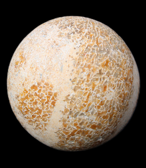 Dinosaur Bone fossil sphere 51mm 166g in sunlight - Rocks and Things Store