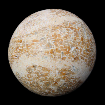 Dinosaur Bone fossil sphere 51mm 166g in sunlight - Rocks and Things Store