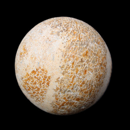 Dinosaur Bone fossil sphere 51mm 166g in sunlight - Rocks and Things Store