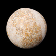 Dinosaur Bone fossil sphere 51mm 166g in sunlight - Rocks and Things Store