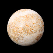 Dinosaur Bone fossil sphere 51mm 166g in sunlight - Rocks and Things Store