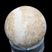 Dinosaur Bone fossil sphere 51mm 166g in sunlight - Rocks and Things Store