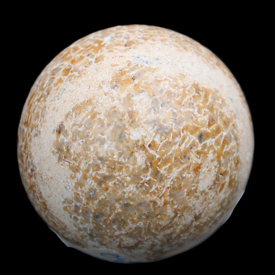 Dinosaur Bone fossil sphere 51mm 166g in sunlight - Rocks and Things Store