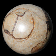 Septarian Dragon Stone sphere 57mm 248g Rocks and Things