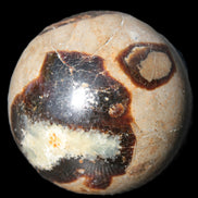 Septarian Dragon Stone sphere 57mm 248g Rocks and Things