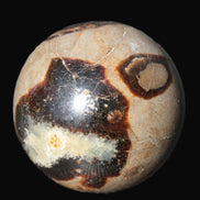 Septarian Dragon Stone sphere 57mm 248g Rocks and Things