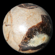 Septarian Dragon Stone sphere 57mm 248g Rocks and Things