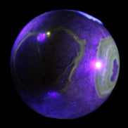 Septarian Dragon Stone sphere 57mm 248g Rocks and Things