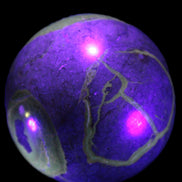 Septarian Dragon Stone sphere 57mm 248g Rocks and Things